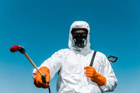 Best Organic or Eco-Friendly Pest Control  in Absecon, NJ